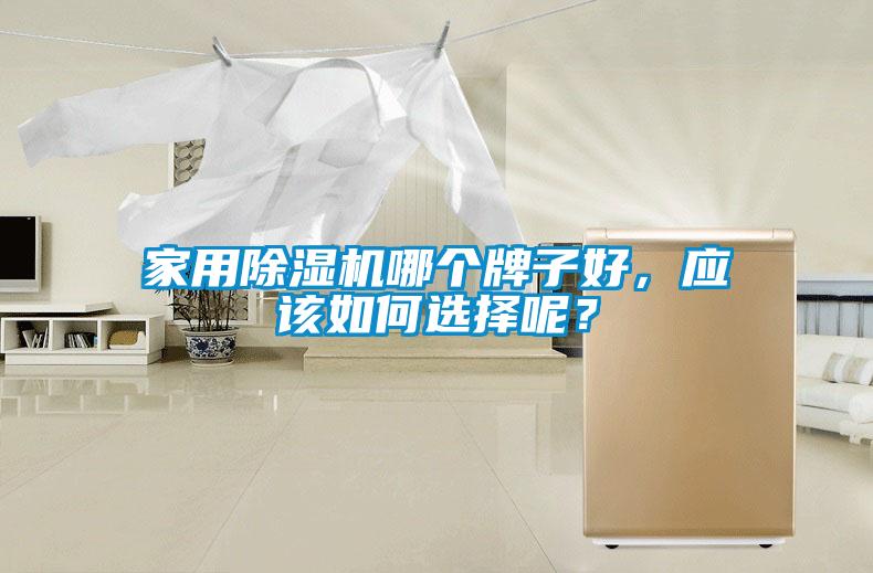 家用除濕機(jī)哪個(gè)牌子好，應(yīng)該如何選擇呢？