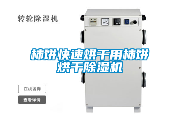 柿餅快速烘干用柿餅烘干除濕機(jī)