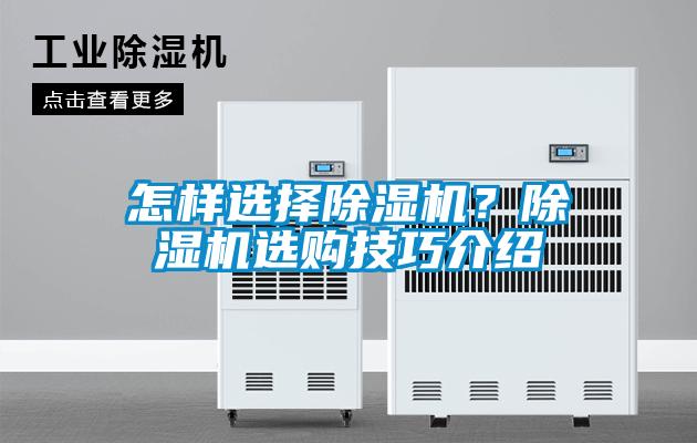 怎樣選擇除濕機？除濕機選購技巧介紹
