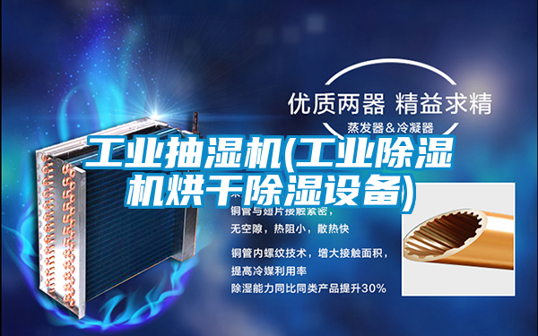 工業(yè)抽濕機(jī)(工業(yè)除濕機(jī)烘干除濕設(shè)備)