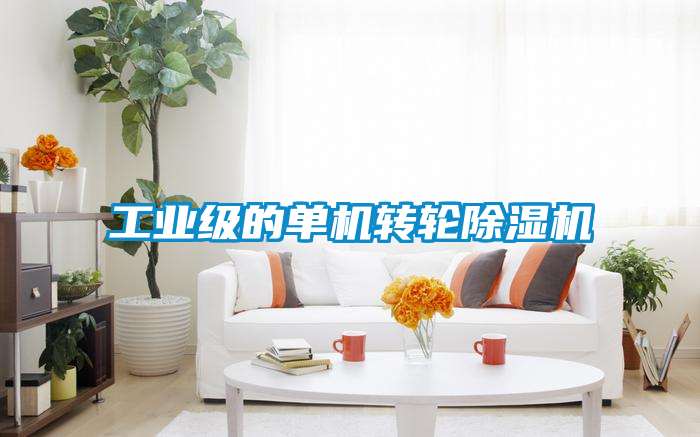 工業(yè)級的單機轉輪除濕機