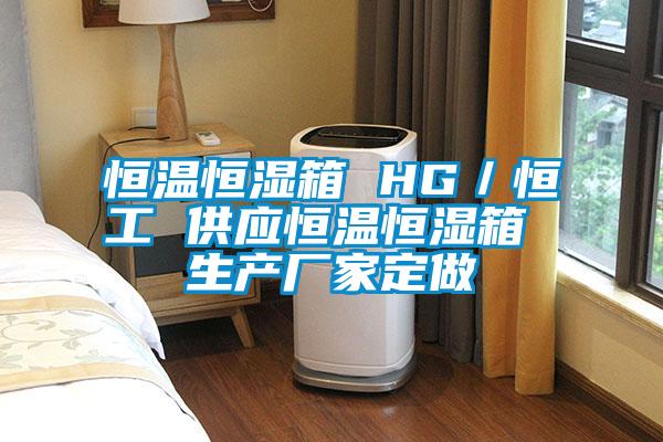 恒溫恒濕箱 HG／恒工 供應恒溫恒濕箱 生產(chǎn)廠(chǎng)家定做