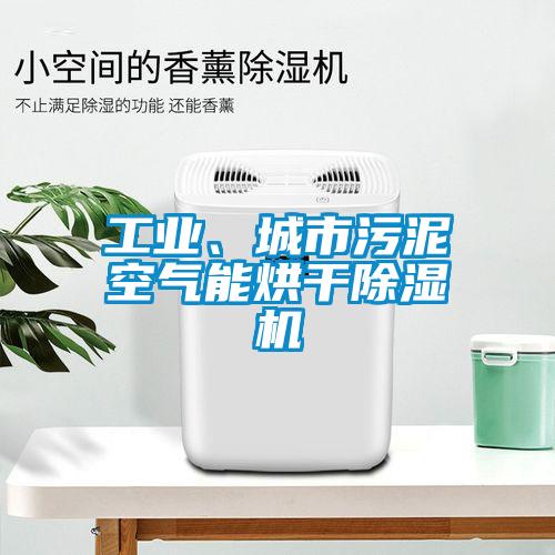 工業(yè)、城市污泥空氣能烘干除濕機