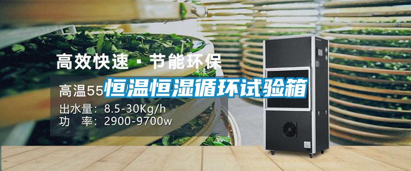 恒溫恒濕循環(huán)試驗箱