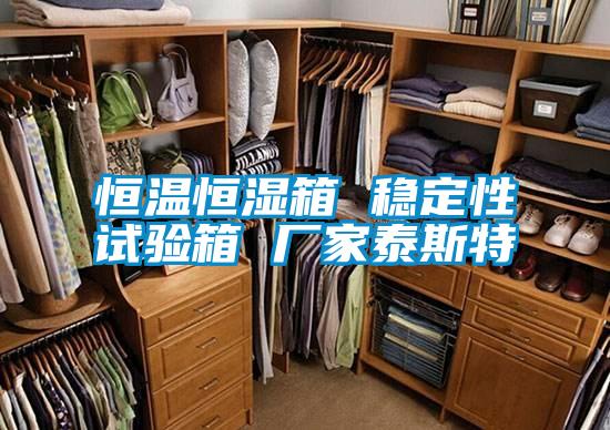 恒溫恒濕箱 穩定性試驗箱 廠(chǎng)家泰斯特
