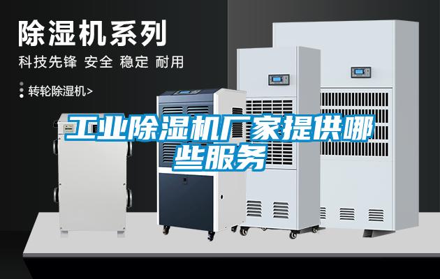 工業(yè)除濕機廠(chǎng)家提供哪些服務(wù)