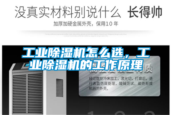工業(yè)除濕機(jī)怎么選，工業(yè)除濕機(jī)的工作原理