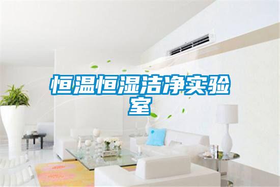恒溫恒濕潔凈實(shí)驗室