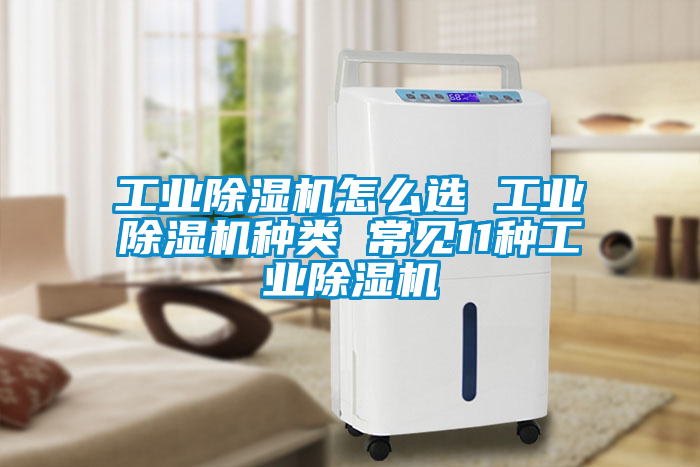 工業(yè)除濕機怎么選 工業(yè)除濕機種類 常見11種工業(yè)除濕機
