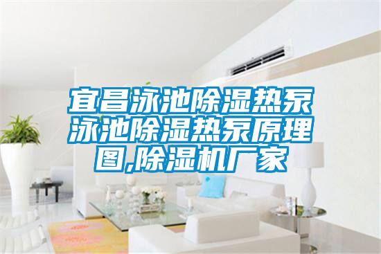宜昌泳池除濕熱泵泳池除濕熱泵原理圖,除濕機廠(chǎng)家