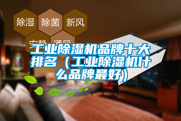 工業(yè)除濕機品牌十大排名（工業(yè)除濕機什么品牌最好）