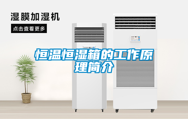恒溫恒濕箱的工作原理簡(jiǎn)介