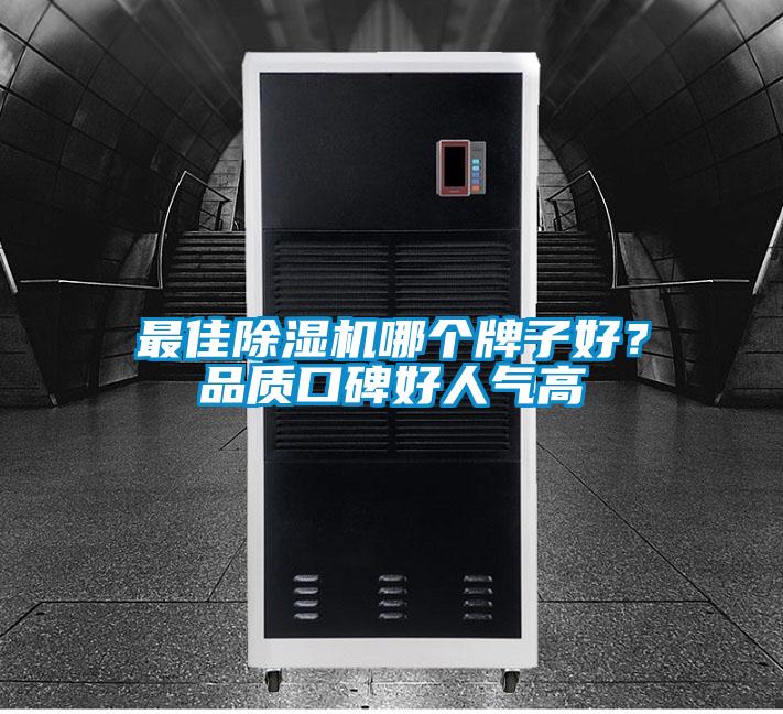 最佳除濕機哪個牌子好？品質(zhì)口碑好人氣高