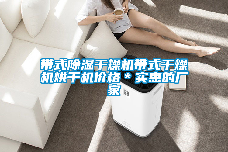 帶式除濕干燥機帶式干燥機烘干機價(jià)格＊實(shí)惠的廠(chǎng)家