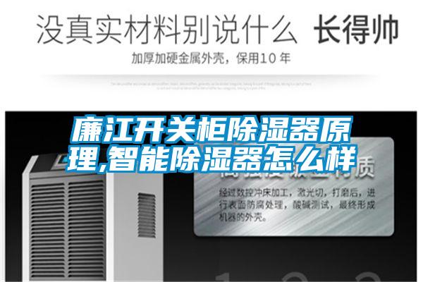 廉江開(kāi)關(guān)柜除濕器原理,智能除濕器怎么樣