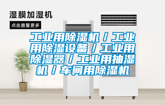 工業(yè)用除濕機(jī)／工業(yè)用除濕設(shè)備／工業(yè)用除濕器／工業(yè)用抽濕機(jī)／車(chē)間用除濕機(jī)