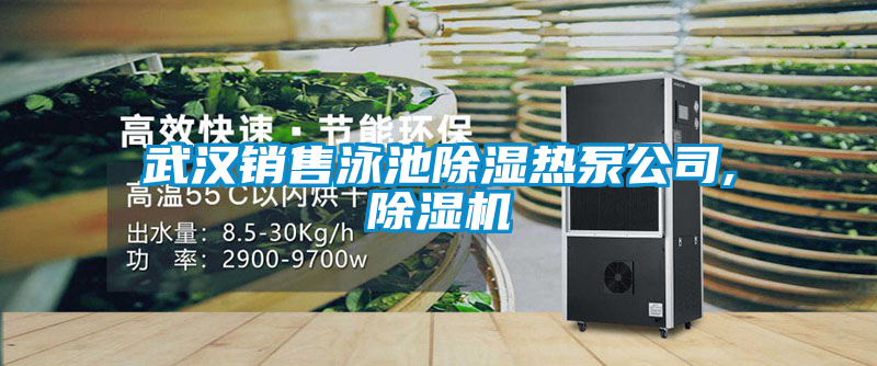 武漢銷(xiāo)售泳池除濕熱泵公司,除濕機(jī)