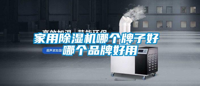家用除濕機哪個(gè)牌子好 哪個(gè)品牌好用