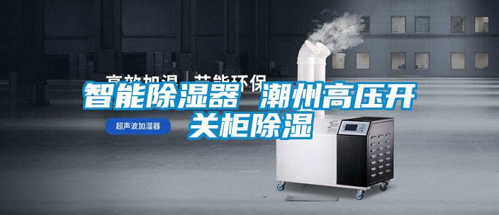 智能除濕器 潮州高壓開關(guān)柜除濕