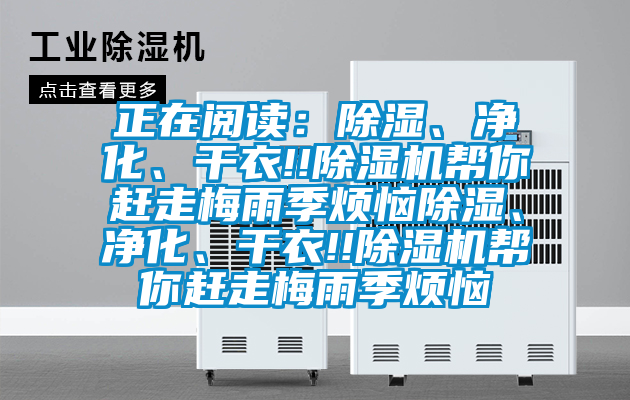 正在閱讀：除濕、凈化、干衣!!除濕機幫你趕走梅雨季煩惱除濕、凈化、干衣!!除濕機幫你趕走梅雨季煩惱