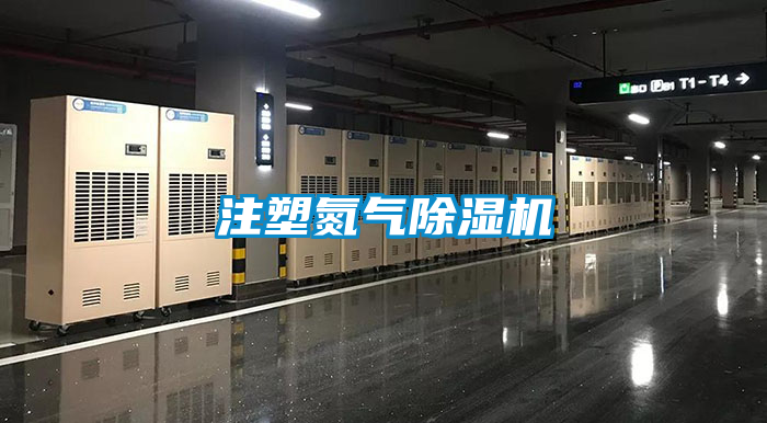 注塑氮?dú)獬凉駲C(jī)