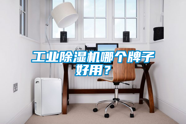 工業(yè)除濕機(jī)哪個牌子好用？