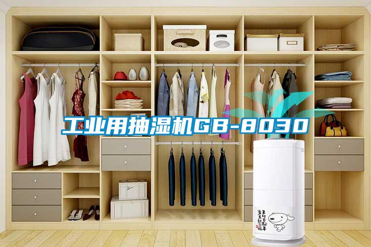 工業(yè)用抽濕機GB-8030