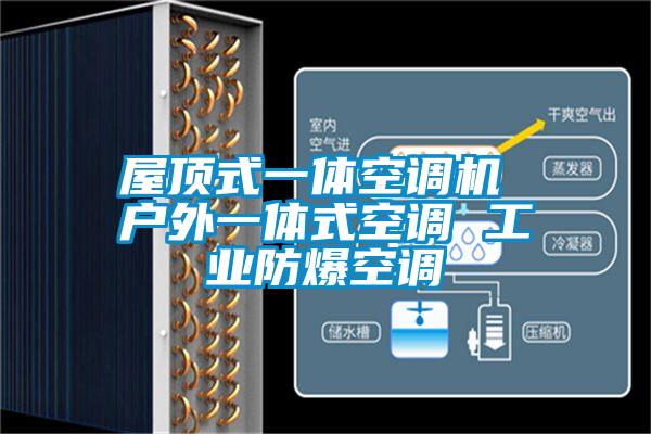 屋頂式一體空調機 戶(hù)外一體式空調 工業(yè)防爆空調