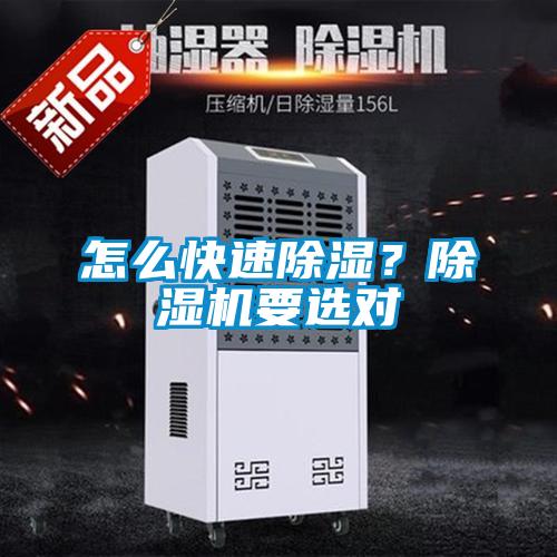 怎么快速除濕？除濕機(jī)要選對(duì)