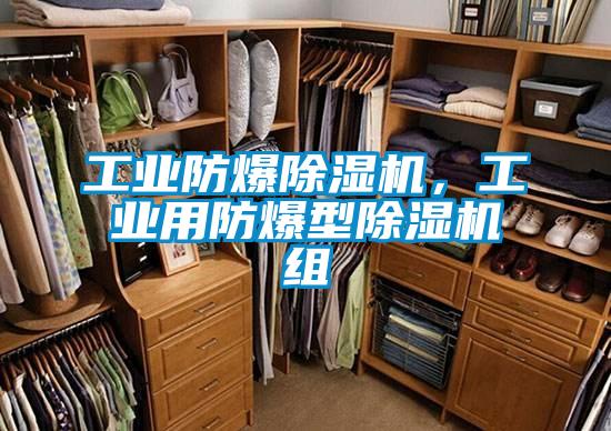 工業(yè)防爆除濕機(jī)，工業(yè)用防爆型除濕機(jī)組