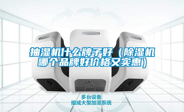 抽濕機(jī)什么牌子好（除濕機(jī)哪個(gè)品牌好價(jià)格又實(shí)惠）