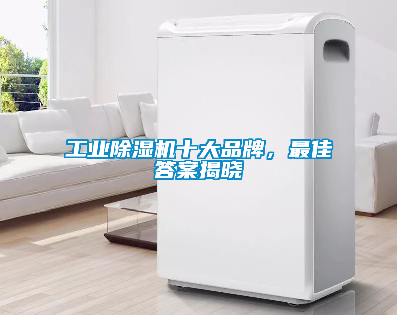 工業(yè)除濕機十大品牌，最佳答案揭曉