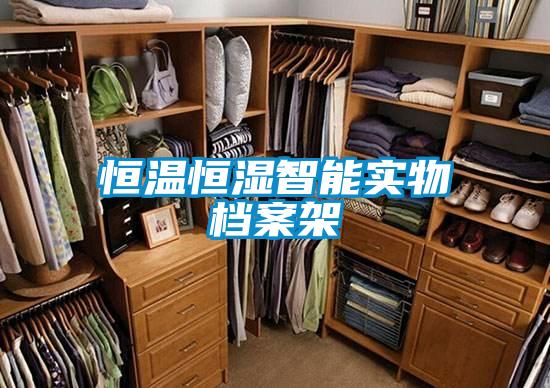 恒溫恒濕智能實(shí)物檔案架