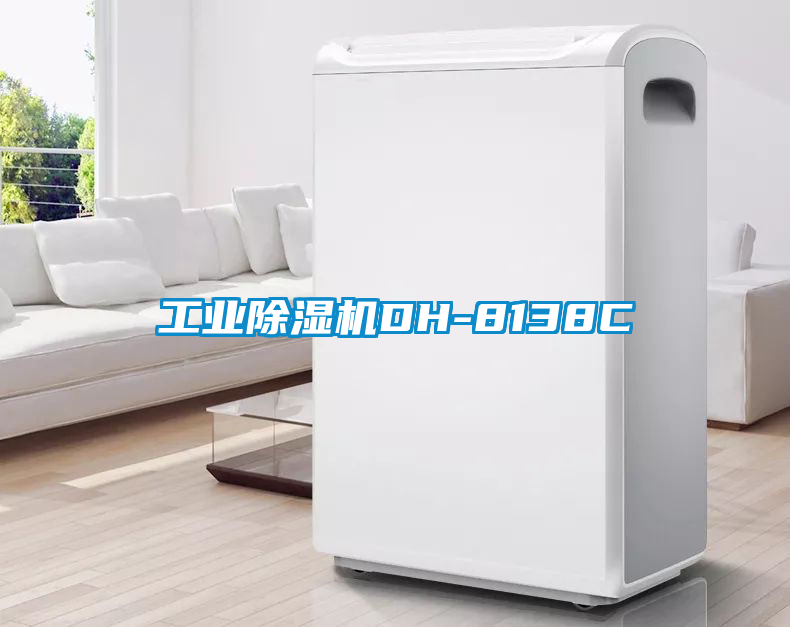 工業(yè)除濕機DH-8138C