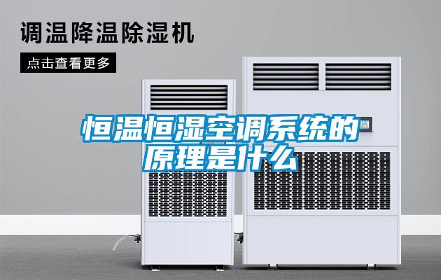 恒溫恒濕空調系統的原理是什么