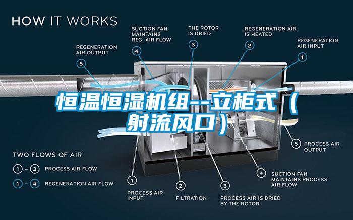 恒溫恒濕機組--立柜式（射流風(fēng)口）