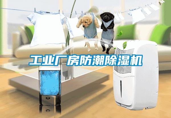 工業(yè)廠房防潮除濕機(jī)