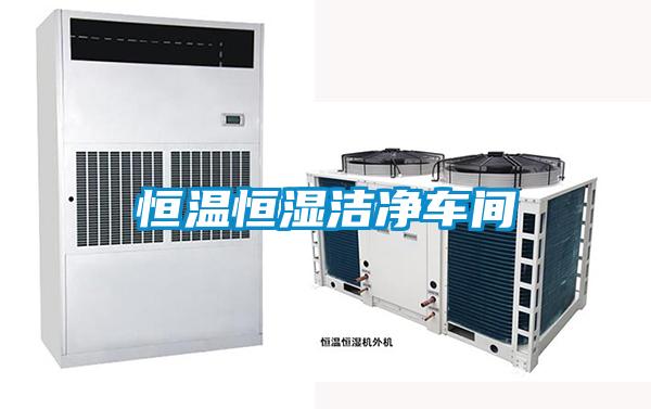 恒溫恒濕潔凈車(chē)間