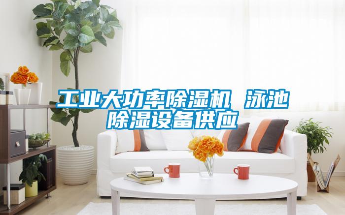 工業(yè)大功率除濕機 泳池除濕設備供應