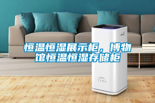 恒溫恒濕展示柜，博物館恒溫恒濕存儲柜