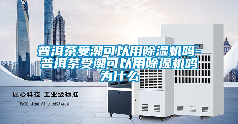 普洱茶受潮可以用除濕機(jī)嗎-普洱茶受潮可以用除濕機(jī)嗎為什么