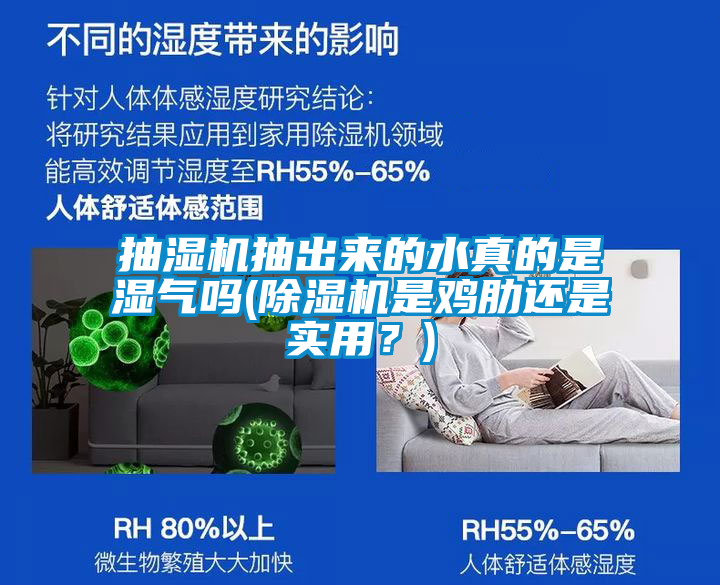 抽濕機抽出來(lái)的水真的是濕氣嗎(除濕機是雞肋還是實(shí)用？)