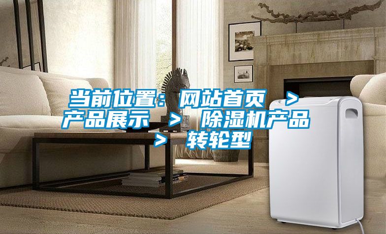 當(dāng)前位置：網(wǎng)站首頁 ＞ 產(chǎn)品展示 ＞ 除濕機(jī)產(chǎn)品  ＞ 轉(zhuǎn)輪型