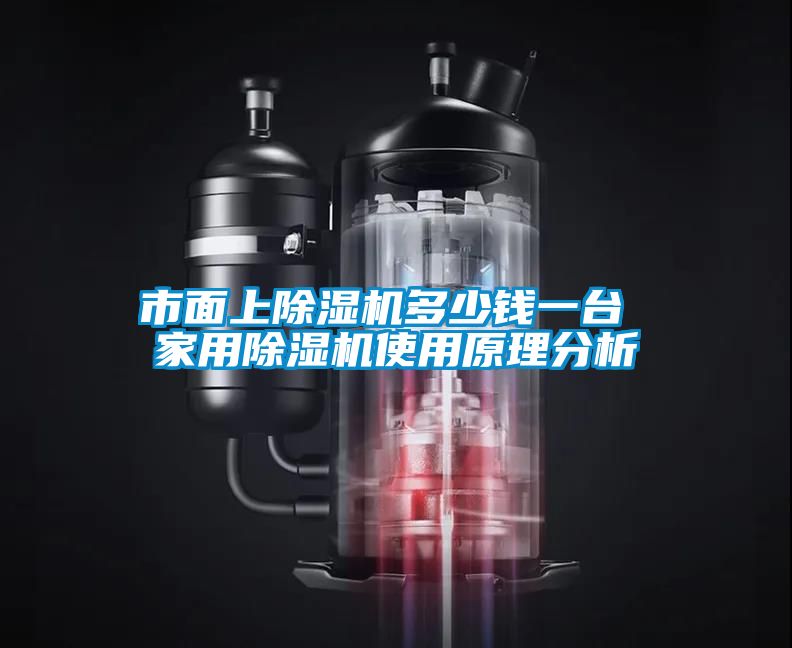 市面上除濕機多少錢(qián)一臺 家用除濕機使用原理分析
