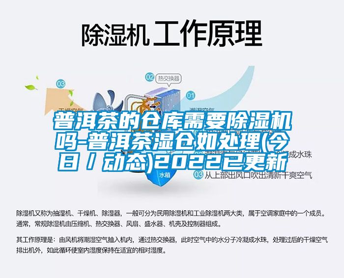 普洱茶的倉庫需要除濕機嗎-普洱茶濕倉如處理(今日／動(dòng)態(tài))2022已更新