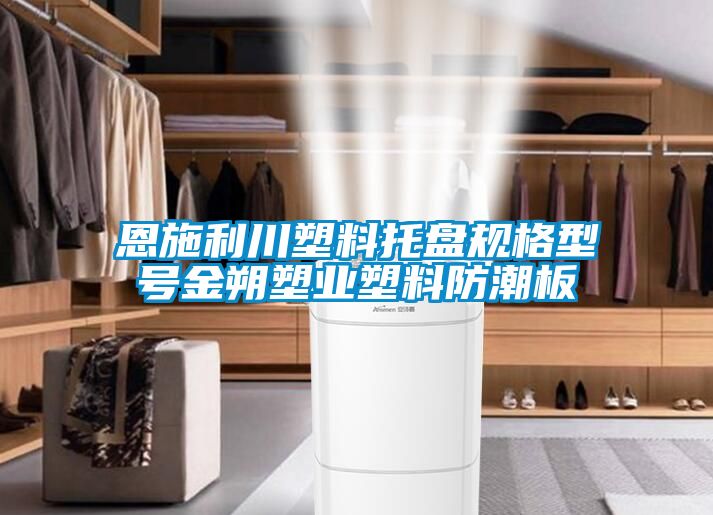 恩施利川塑料托盤規(guī)格型號金朔塑業(yè)塑料防潮板