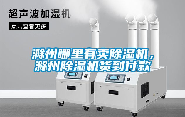滁州哪里有賣(mài)除濕機，滁州除濕機貨到付款