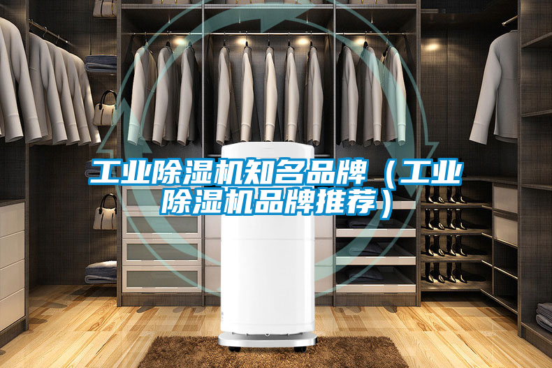 工業(yè)除濕機知名品牌（工業(yè)除濕機品牌推薦）