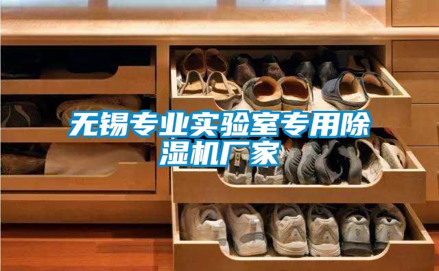 無(wú)錫專(zhuān)業(yè)實(shí)驗室專(zhuān)用除濕機廠(chǎng)家