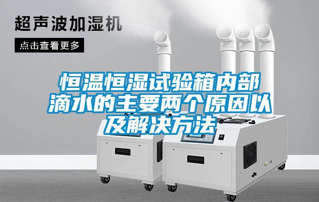 恒溫恒濕試驗(yàn)箱內(nèi)部滴水的主要兩個(gè)原因以及解決方法